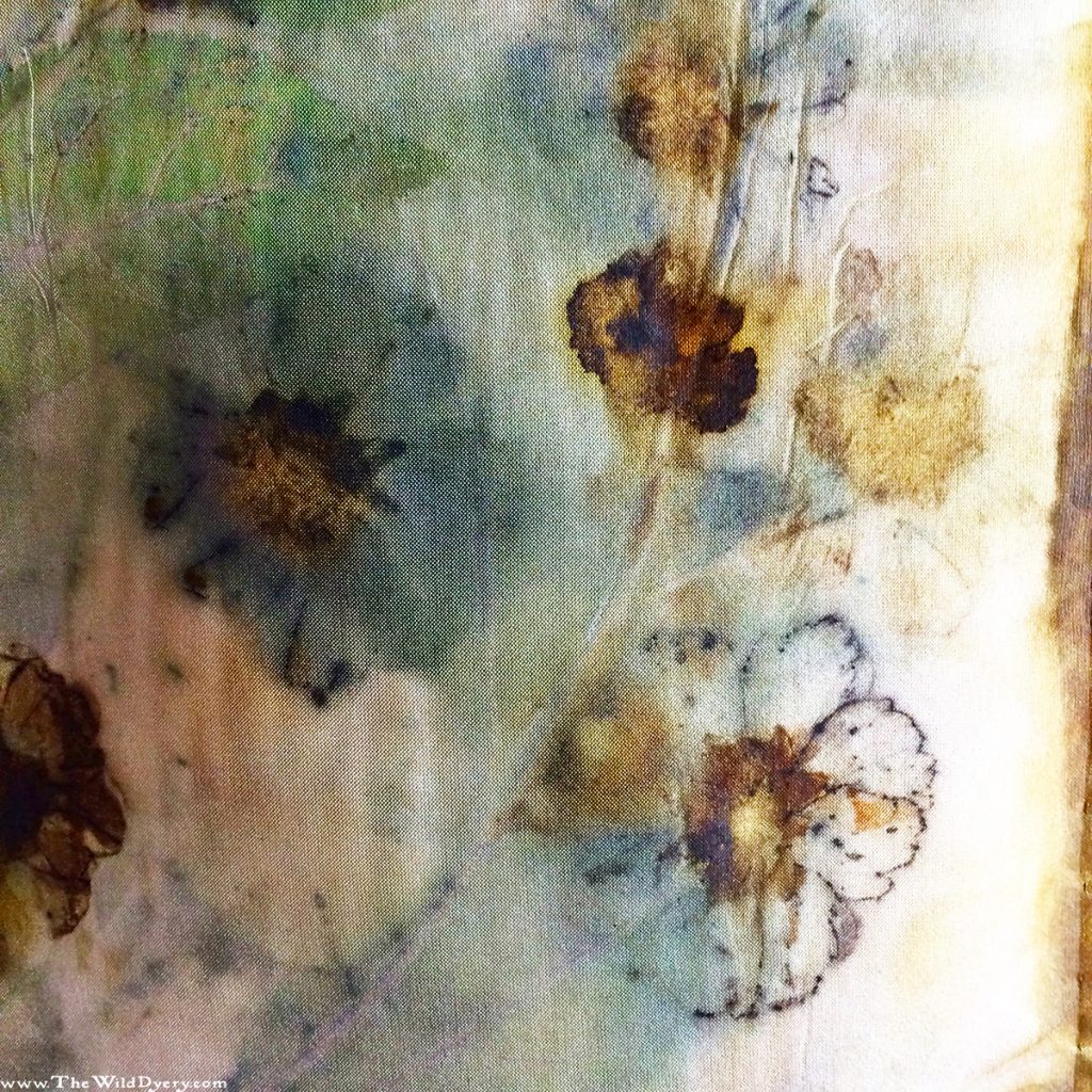 dyers camomile flower print scarf