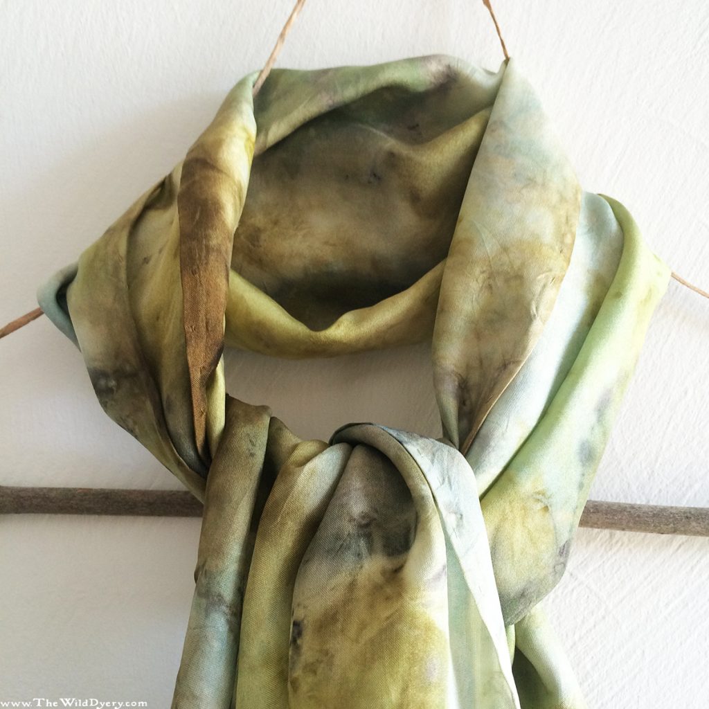 pale green camomile eco print scarf