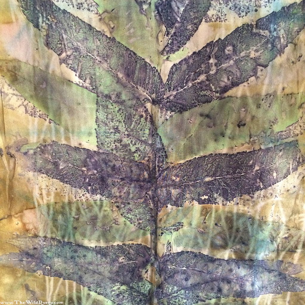 sumac branch eco print close up silk scarf