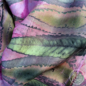 craft courses THE WILD DYERY ecoprinted sumac cochineal scarf