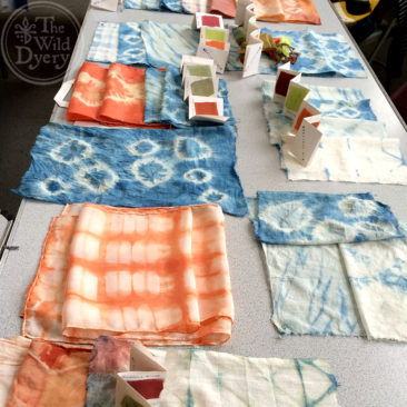 shibori tie dye samples using natural dyes madder woad and weld
