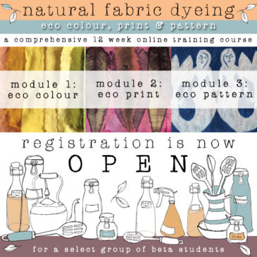 registration for natural dye online training is now open