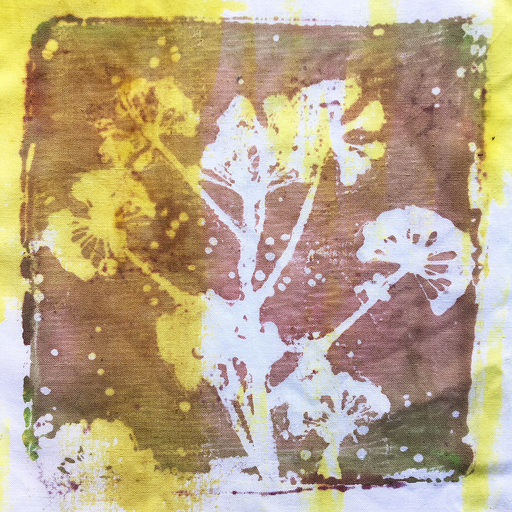 3. mono print - Natural Fabric Dyeing | Online Courses | Workshops ...