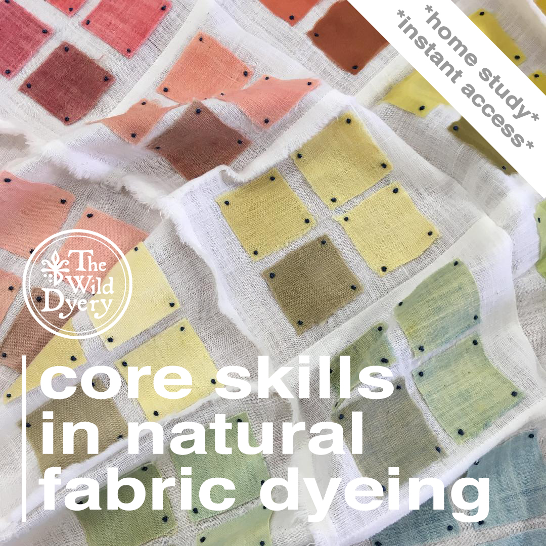 Re-Wild Your Wardrobe for Fashion Revolution Week, Natural Fabric Dyeing, Online Courses, Workshops
